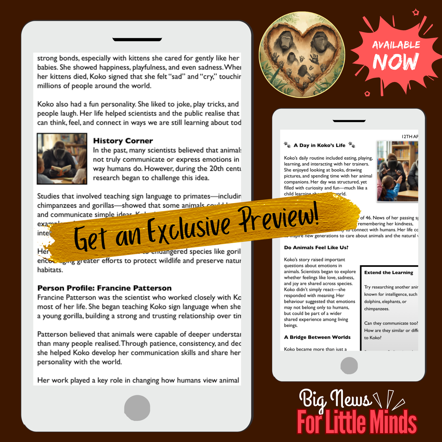 Koko the Gorilla: A Powerful Voice Beyond Words ~ Explained in No-prep Article Pack!