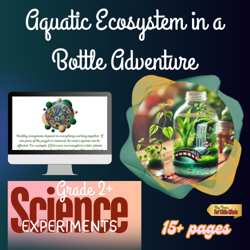 Aquatic Ecosystem in a Bottle Project: Complete Lesson, Worksheets & Answers
