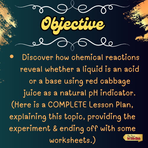 Chemical Reactions Lab Lesson: Red Cabbage Experiment ~ Acids, Bases & pH Scale