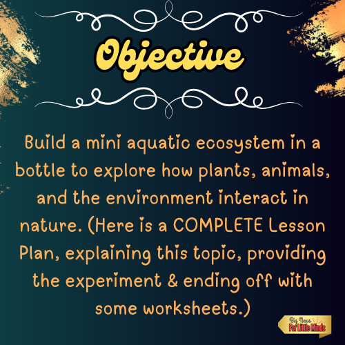 Aquatic Ecosystem in a Bottle Project: Complete Lesson, Worksheets & Answers