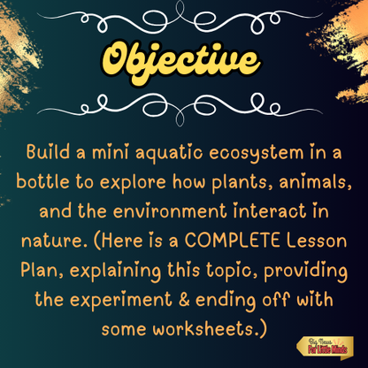Aquatic Ecosystem in a Bottle Project: Complete Lesson, Worksheets & Answers