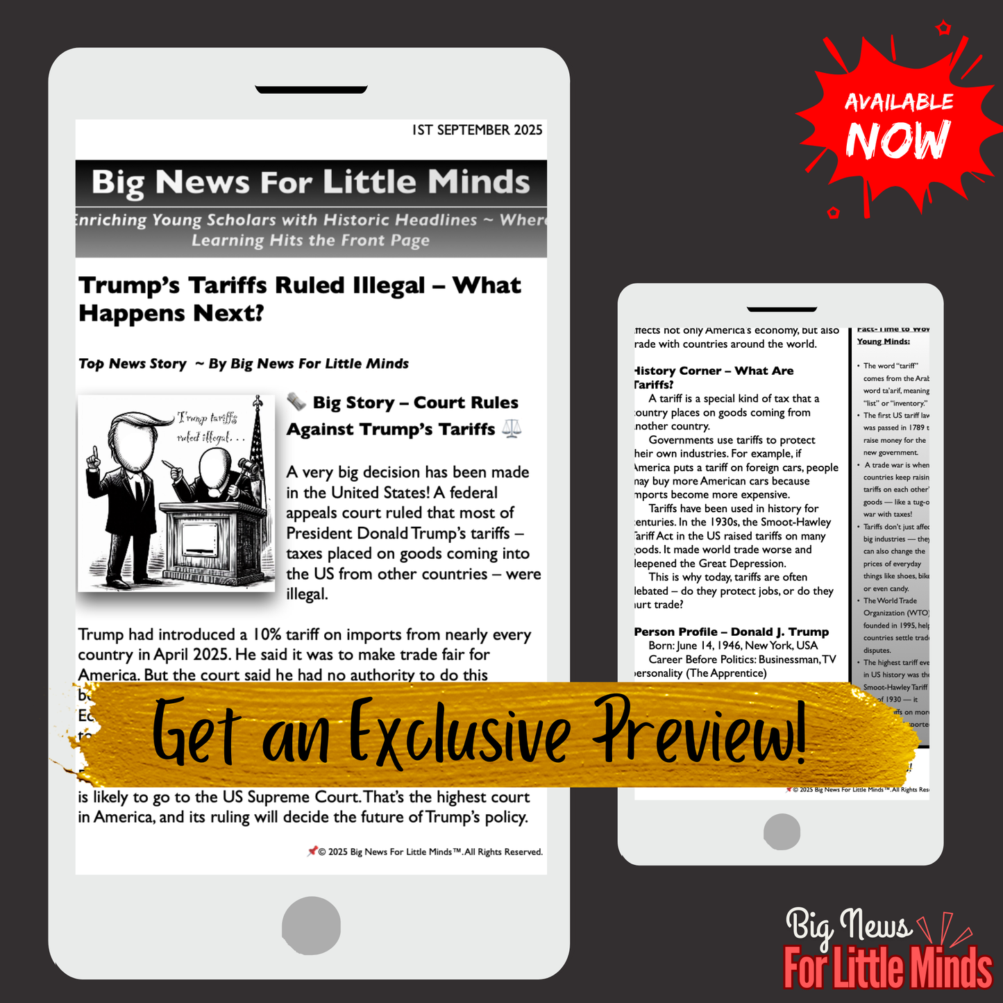 Trump Tariffs Illegal: Key Takeaways from Ruling in Kids Article Pack with Freebie Worksheets!