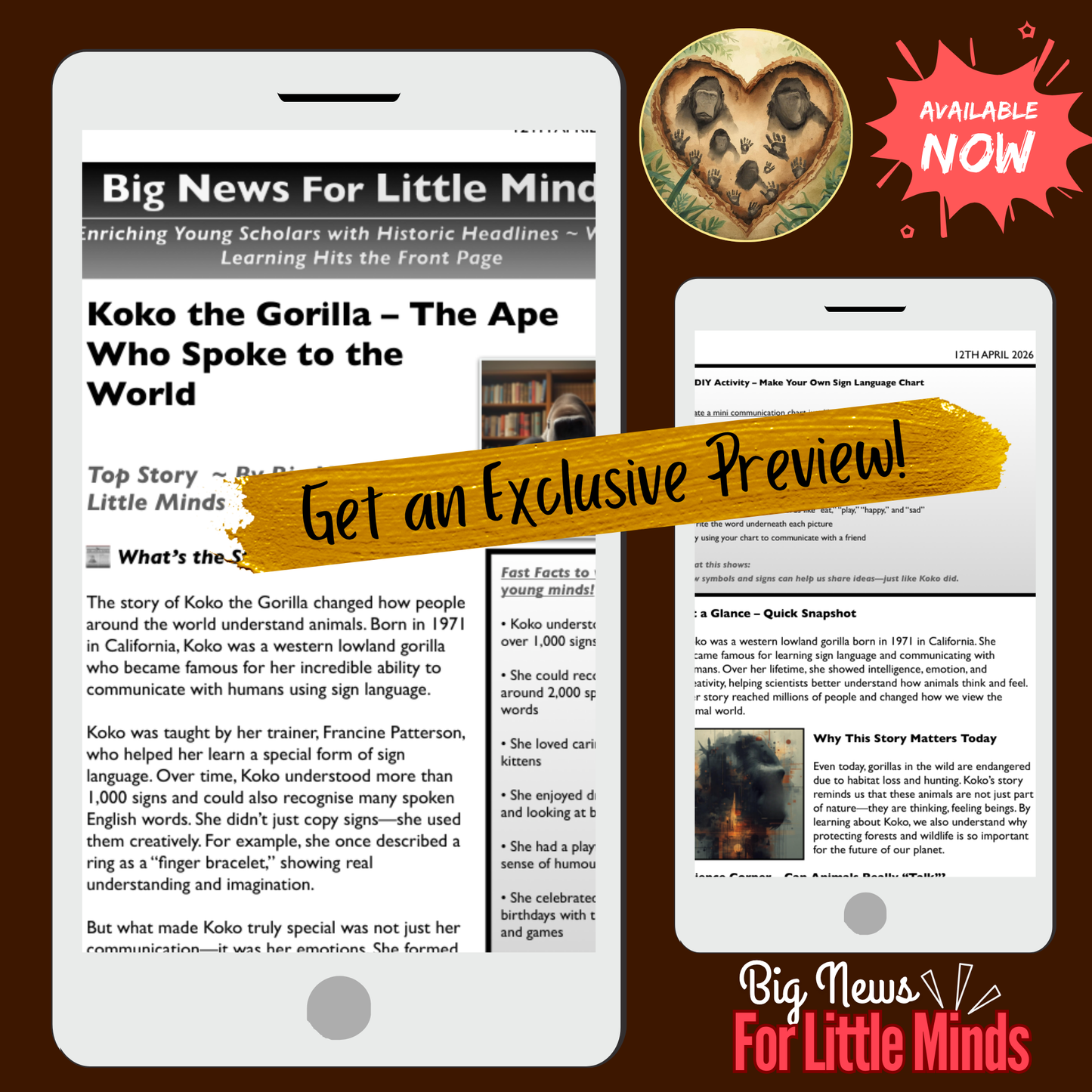 Koko the Gorilla: A Powerful Voice Beyond Words ~ Explained in No-prep Article Pack!