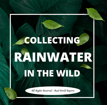Rainwater Survival Guide: Collecting in the Wild ~ Survival Tips Outdoors
