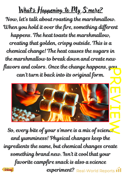 Physical & Chemical Changes Science: S'mores Lab Activity / Experiment with Worksheet & Answers