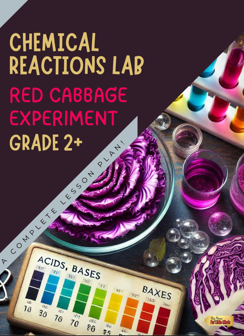 Chemical Reactions Lab Lesson: Red Cabbage Experiment ~ Acids, Bases & pH Scale