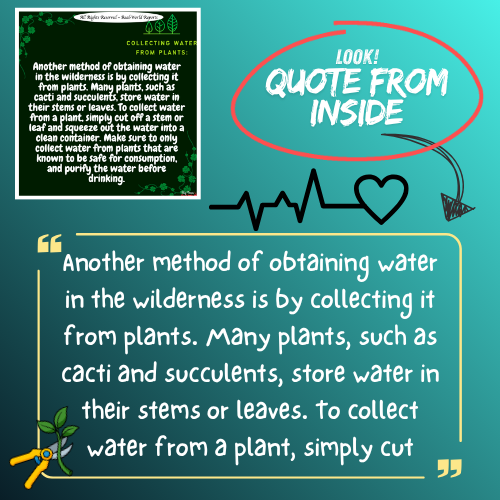 Rainwater Survival Guide: Collecting in the Wild ~ Survival Tips Outdoors
