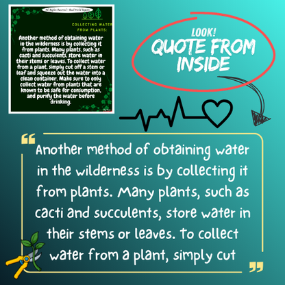 Rainwater Survival Guide: Collecting in the Wild ~ Survival Tips Outdoors